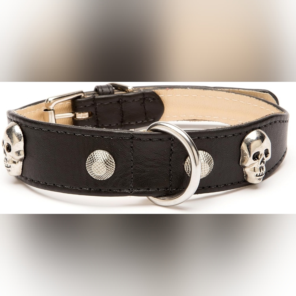 NEW Poochee Designs Large Skull Rivet Tapered leather Dog Collar